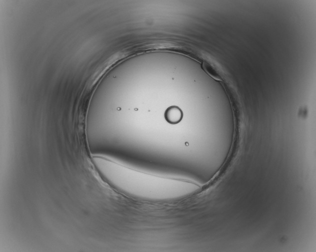 X0000112851185200909041522