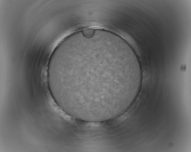 X0000112851190200909041522