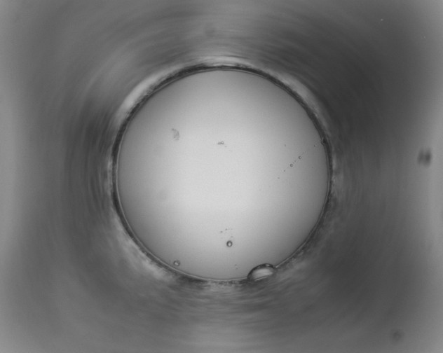 X0000112851191200909041522