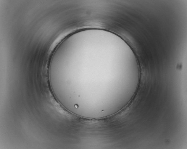 X0000112851192200909041522