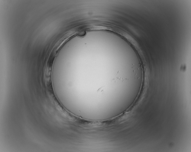 X0000112851193200909041522