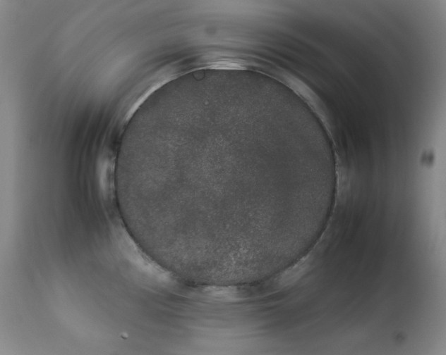 X0000112851194200909041522