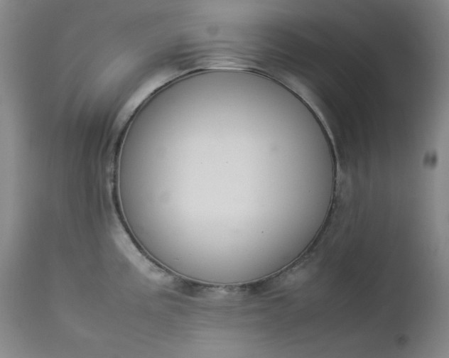 X0000112851195200909041522