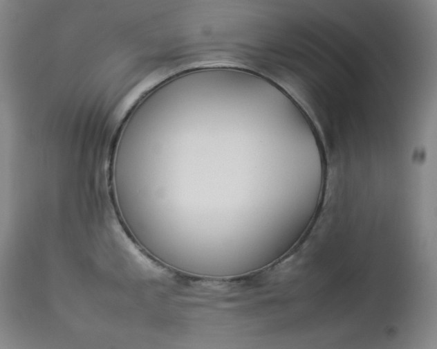 X0000112851197200909041522