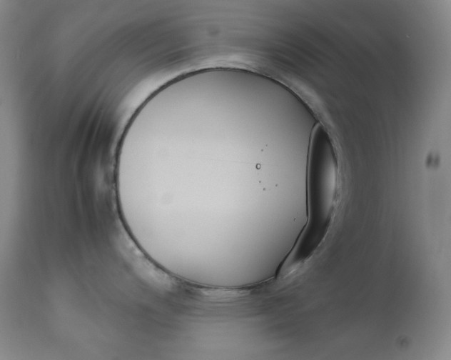 X0000112851200200909041522