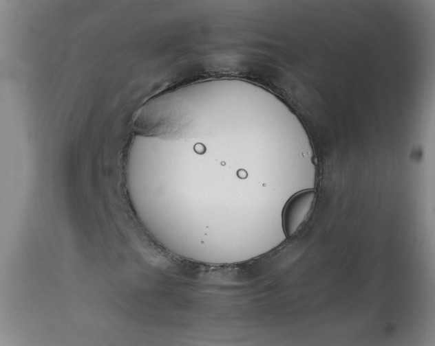 X0000112851201200909041522