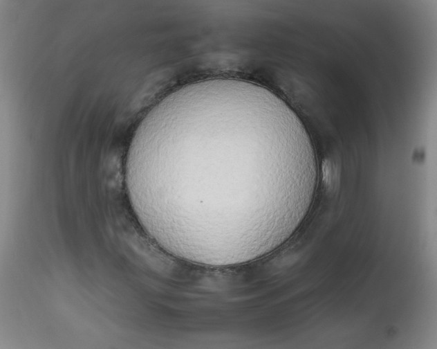 X0000112851203200909041522