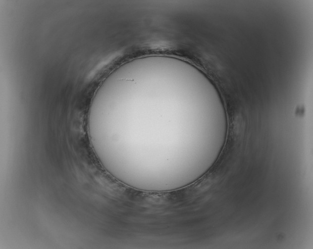 X0000112851205200909041522