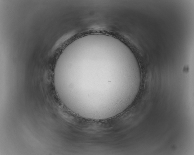 X0000112851207200909041522