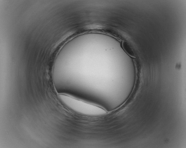 X0000112851209200909041522