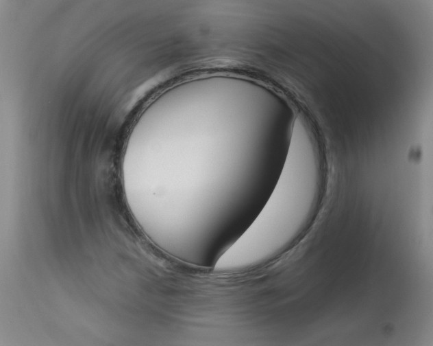 X0000112851210200909041522