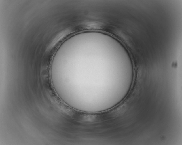 X0000112851211200909041522