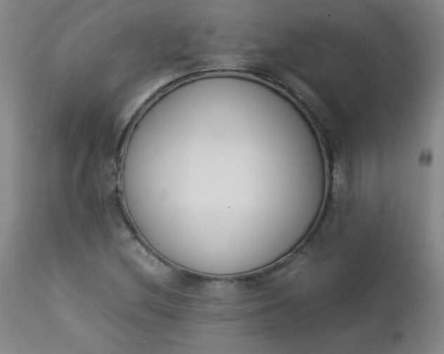 X0000112851212200909041522