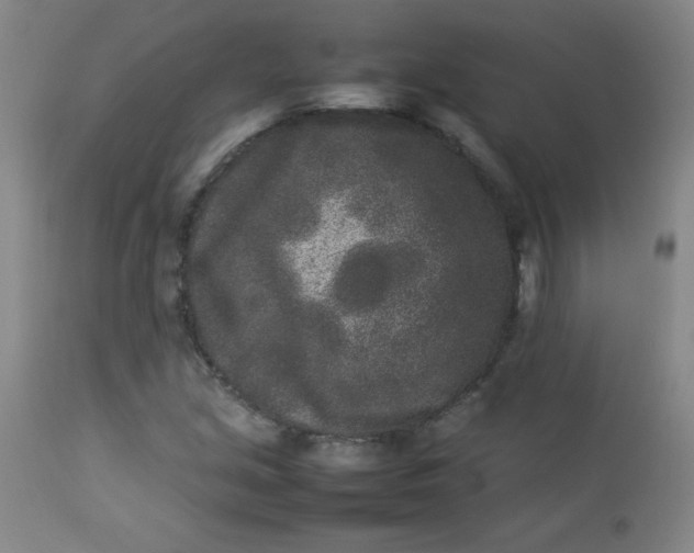 X0000112851213200909041522