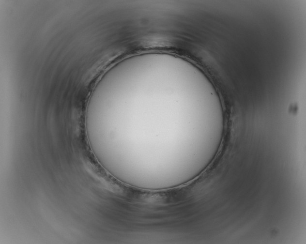 X0000112851217200909041522