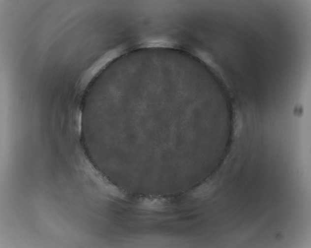 X0000112851221200909041522