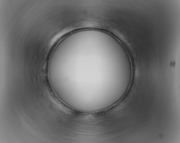 X0000112851222200909041522