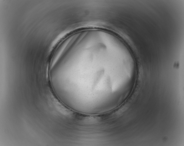 X0000112851224200909041522