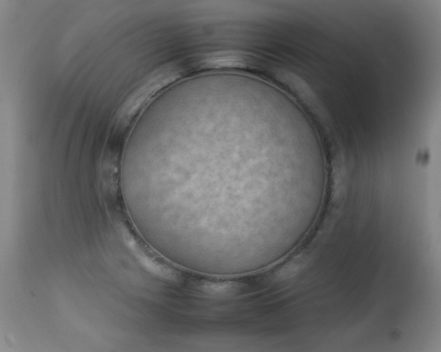 X0000112851225200909041522