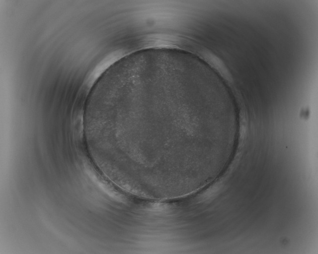 X0000112851226200909041522