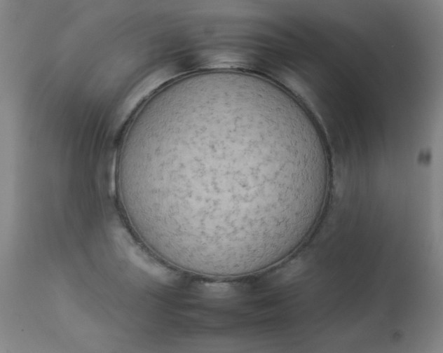 X0000112851227200909041522