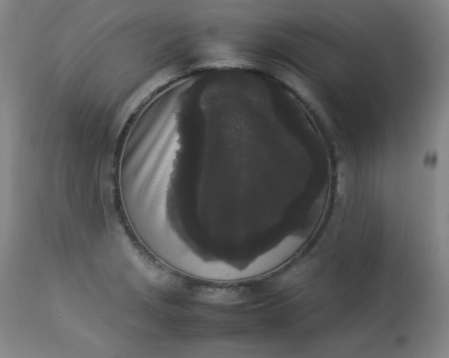 X0000112851229200909041522