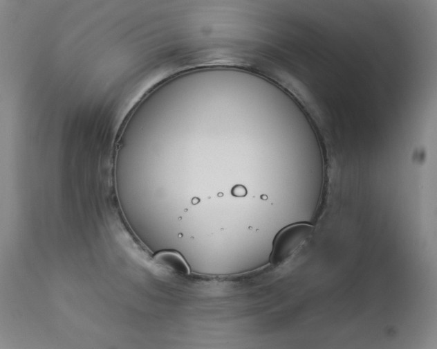 X0000112851236200909041522