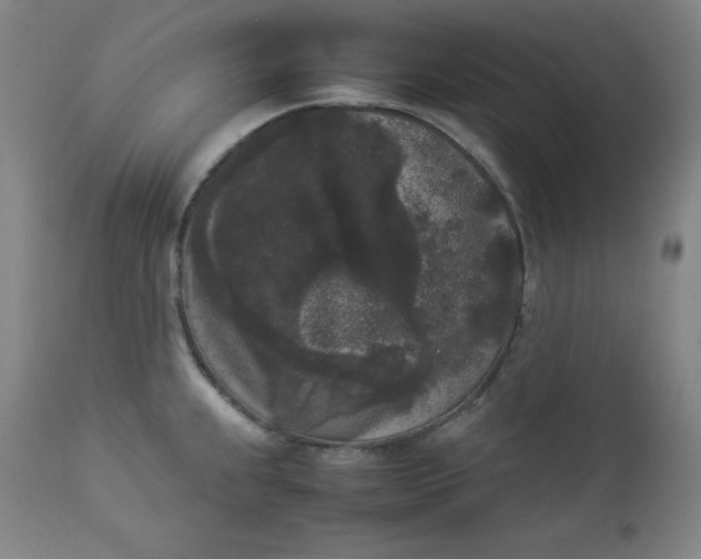 X0000112851239200909041522