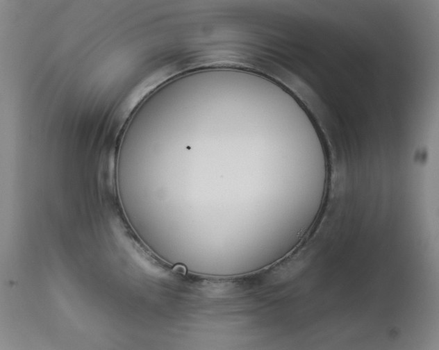 X0000112851242200909041522