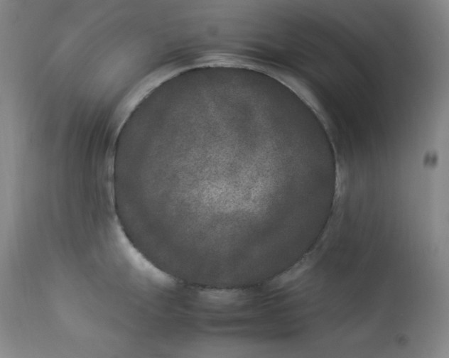 X0000112851247200909041522