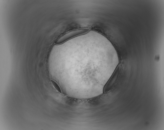 X0000112851249200909041522