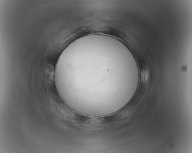 X0000112851251200909041521