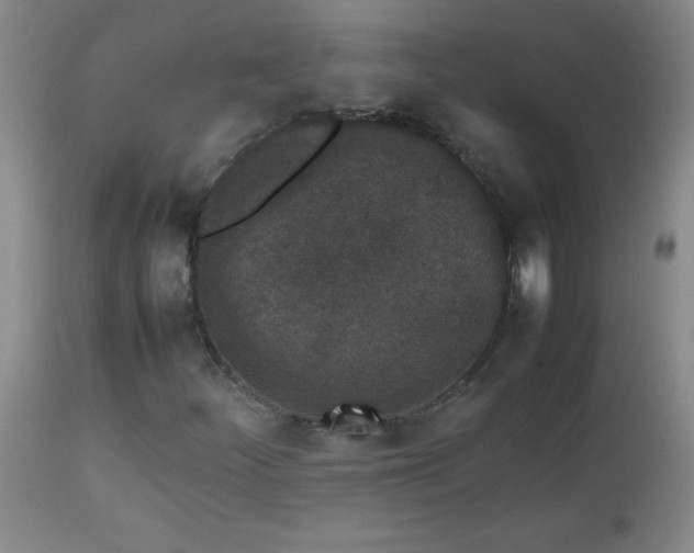 X0000112851252200909041521