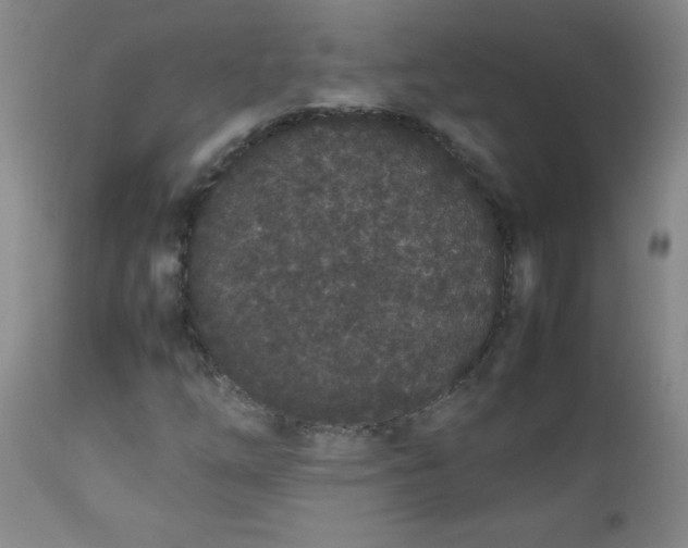 X0000112851254200909041521