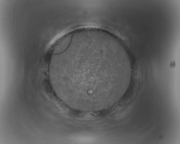 X0000112851255200909041521