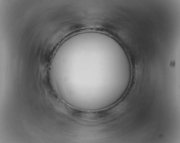 X0000112851257200909041521