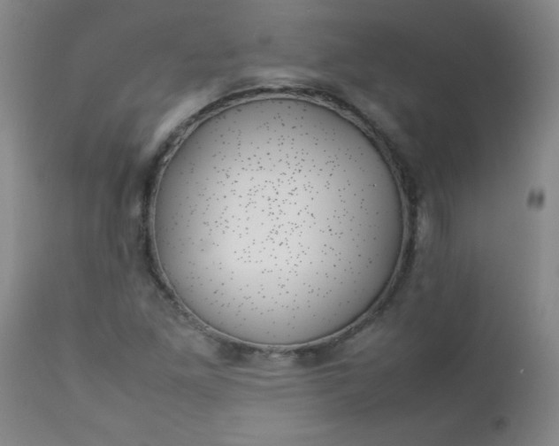 X0000112851261200909041521