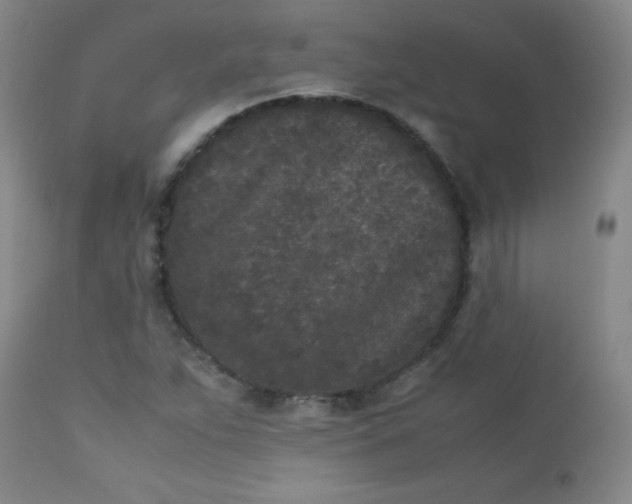 X0000112851263200909041521