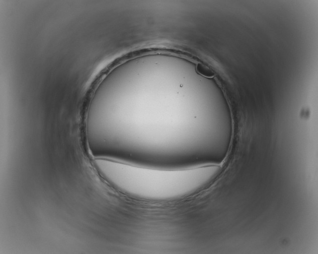 X0000112851264200909041521