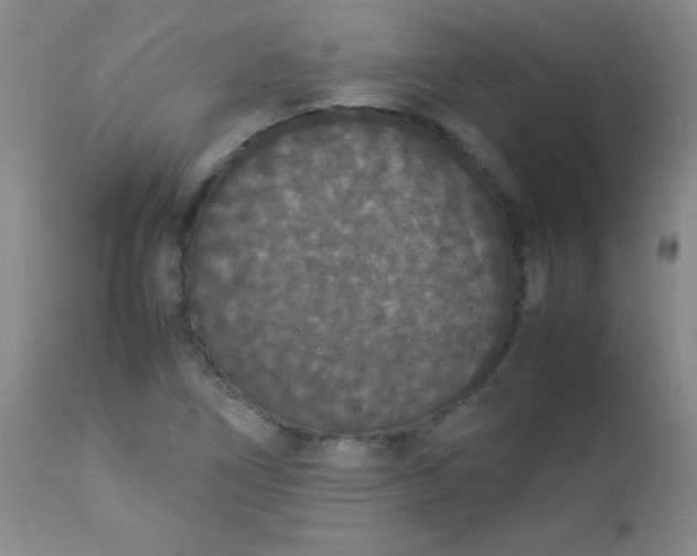 X0000112851266200909041521