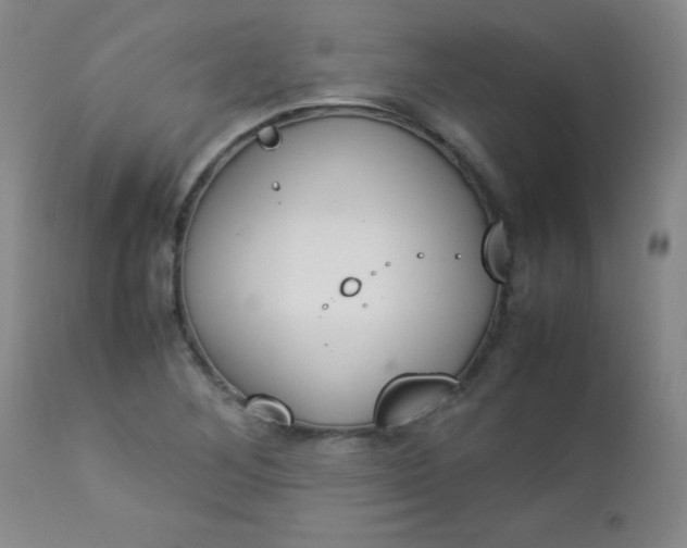 X0000112851268200909041521