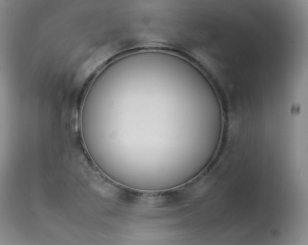 X0000112851269200909041521