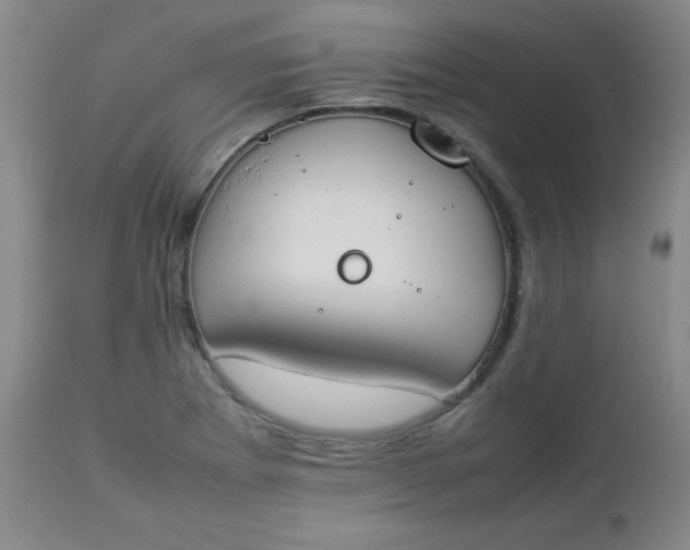 X0000112851273200909041521