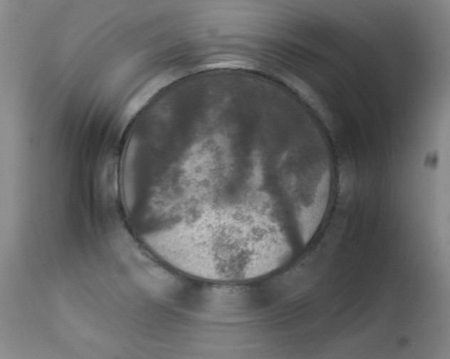 X0000112851274200909041521