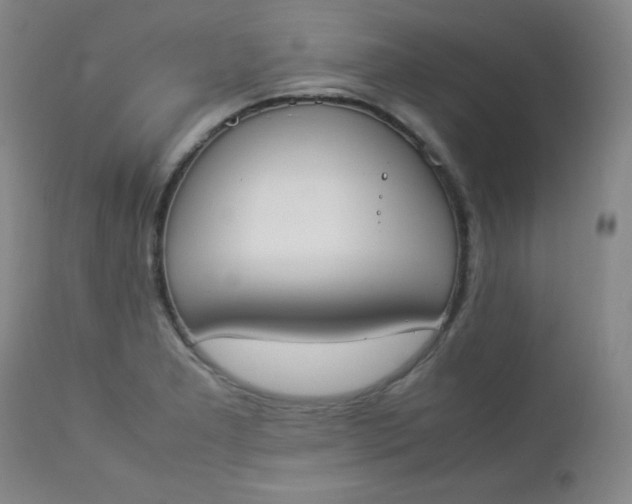 X0000112851277200909041521