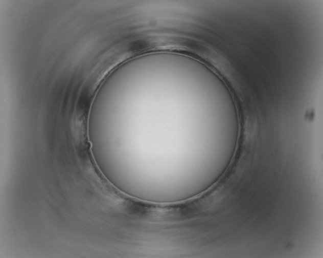 X0000112851281200909041521