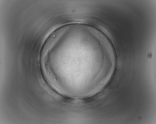 X0000112851283200909041521