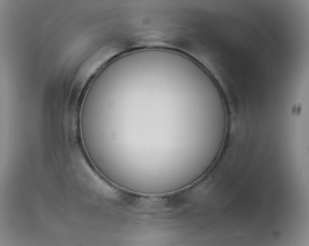 X0000112851285200909041521