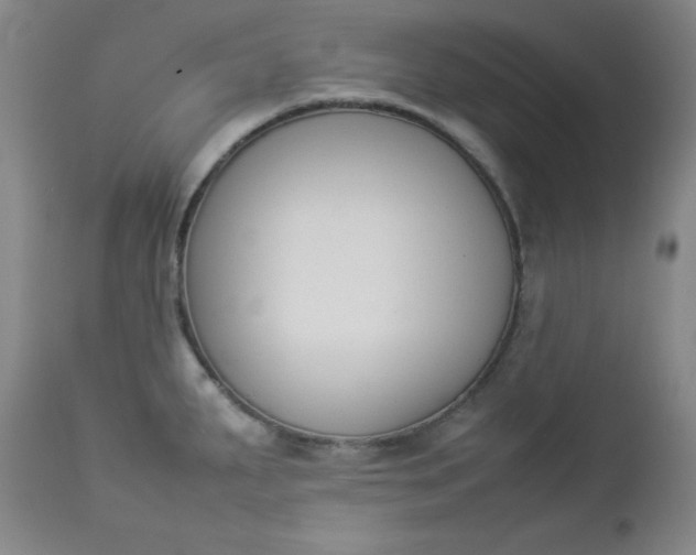 X0000112851287200909041521