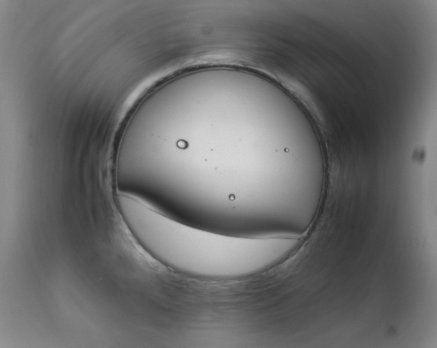 X0000112851288200909041521